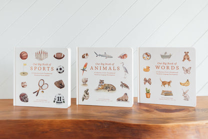 Our Big Book of Sports (Board Book)
