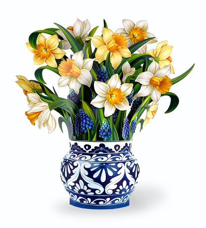 English Daffodils