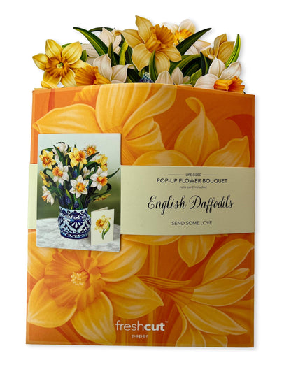 English Daffodils