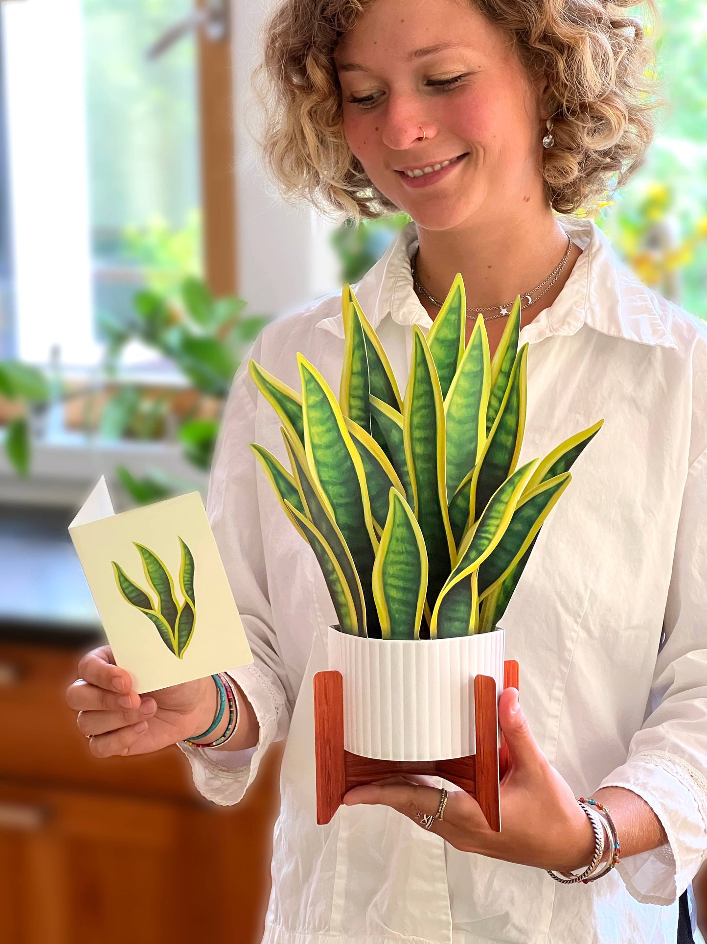 Snake Plant
