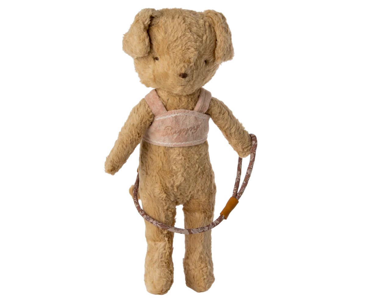 Puppy supply, Harness