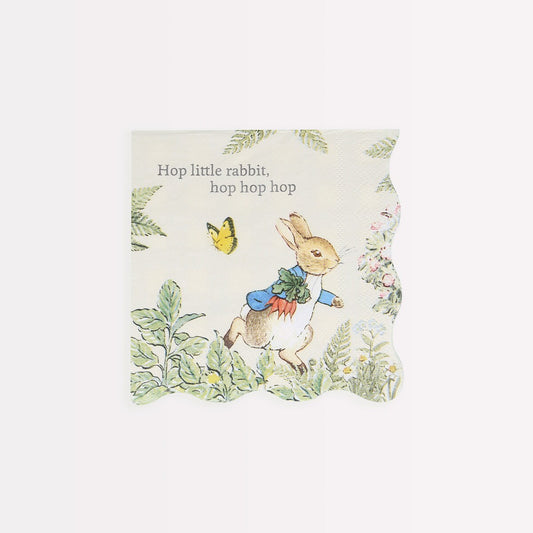 Peter Rabbit™ In The Garden Small Napkins (x 16)