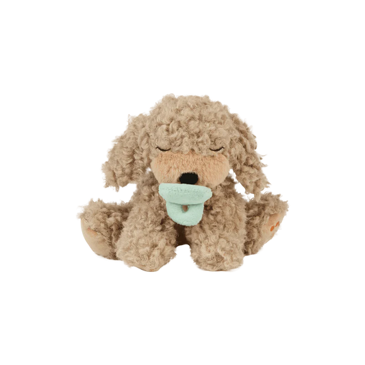 Binky Puppy Benny