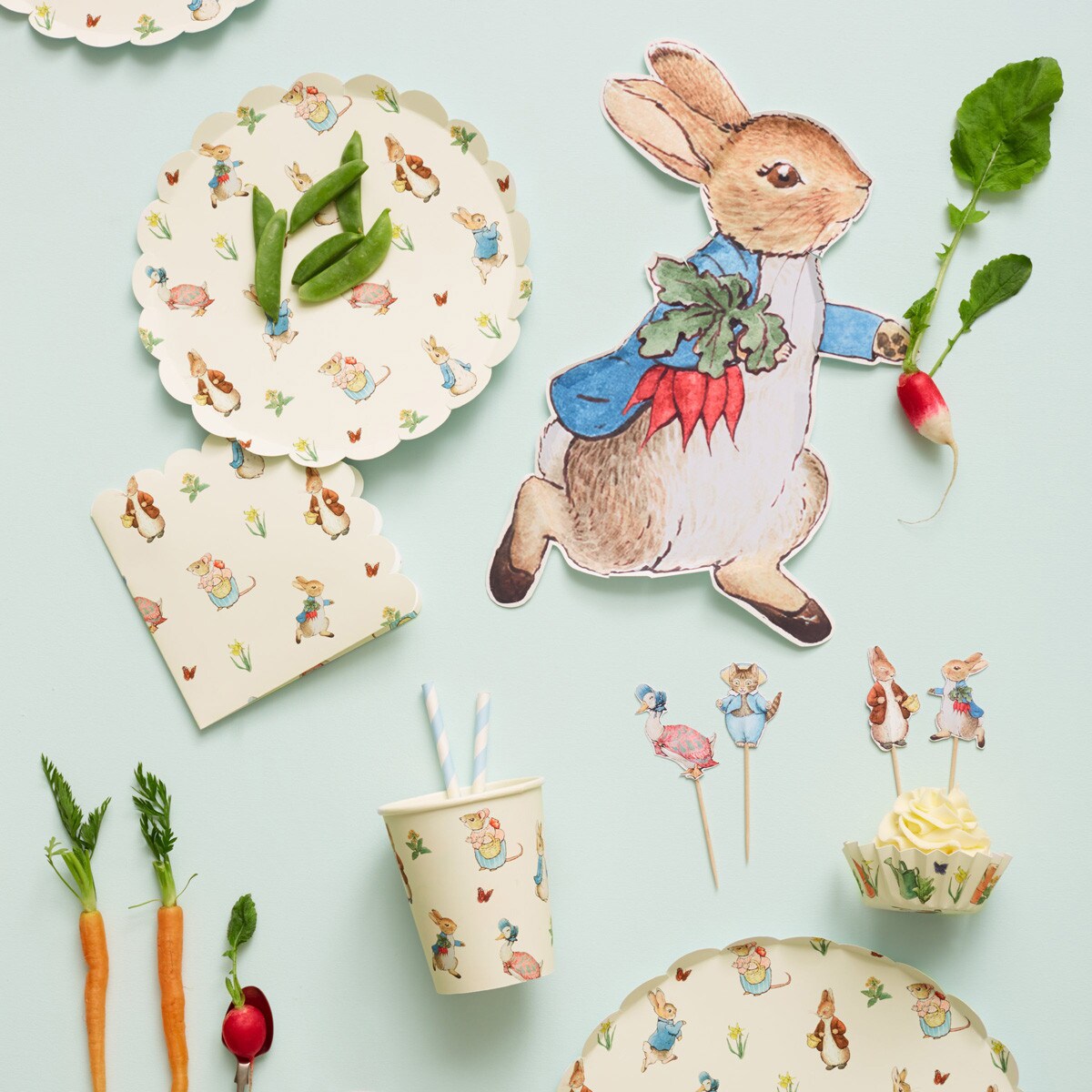 Peter Rabbit™ Plates (x 12)
